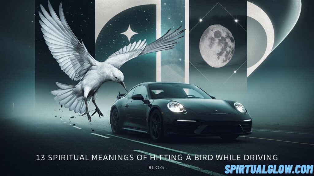 spiritual-meanings-of-hitting-a-bird-while-drivin