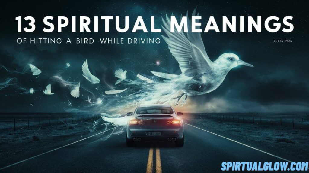spiritual-meanings-of-hitting-a-bird-while-driving