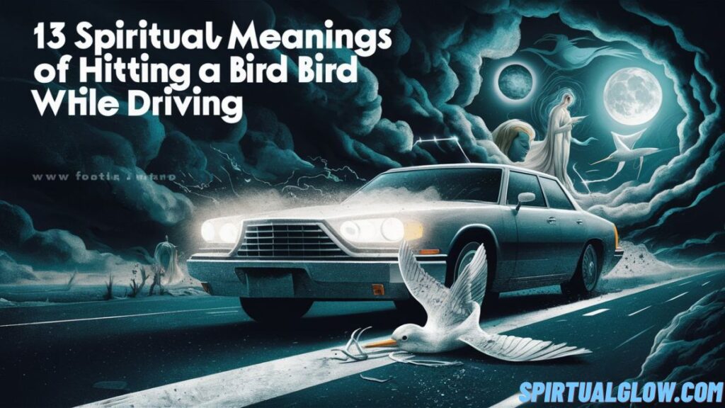 spiritual-meanings-of-hitting-a-bird-while-driving