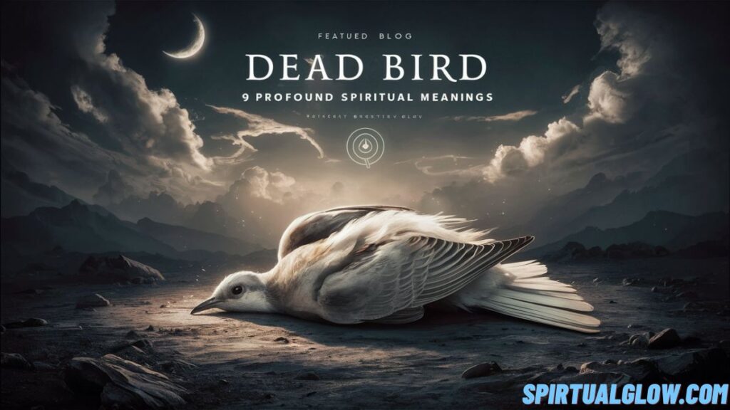dead bird 9 profound spiritual meanings