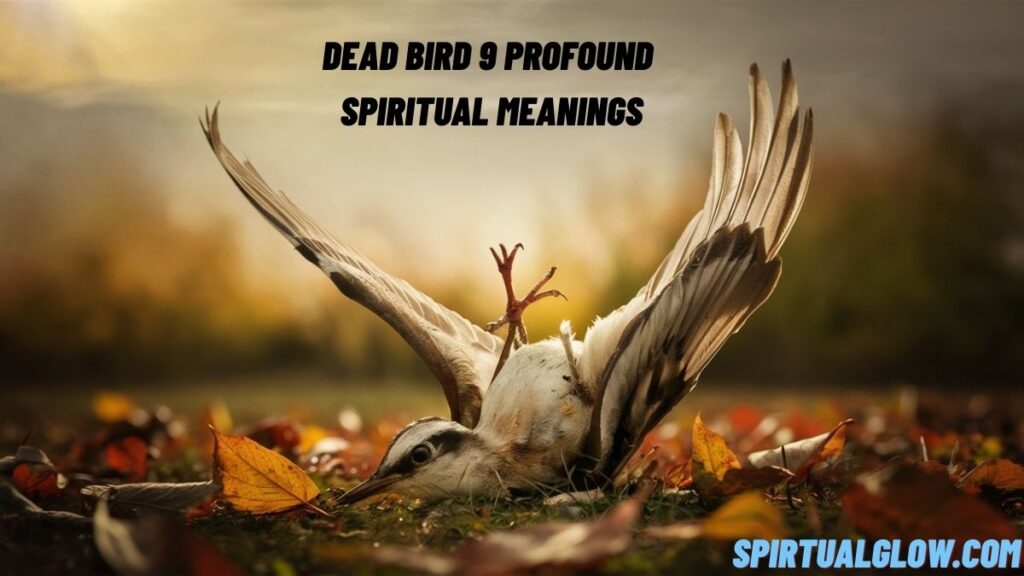 dead bird 9 profound spiritual meanings