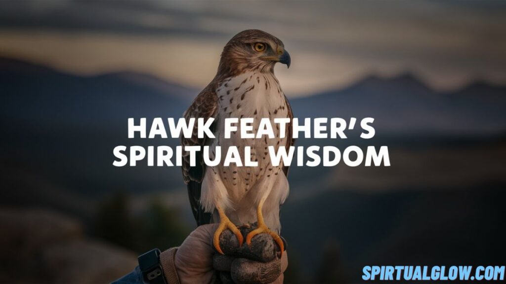 hawk feathers spiritual wisdom