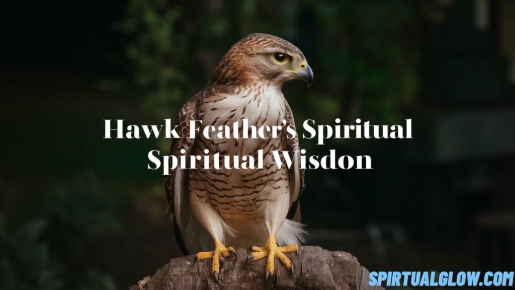 hawk feathers spiritual wisdom