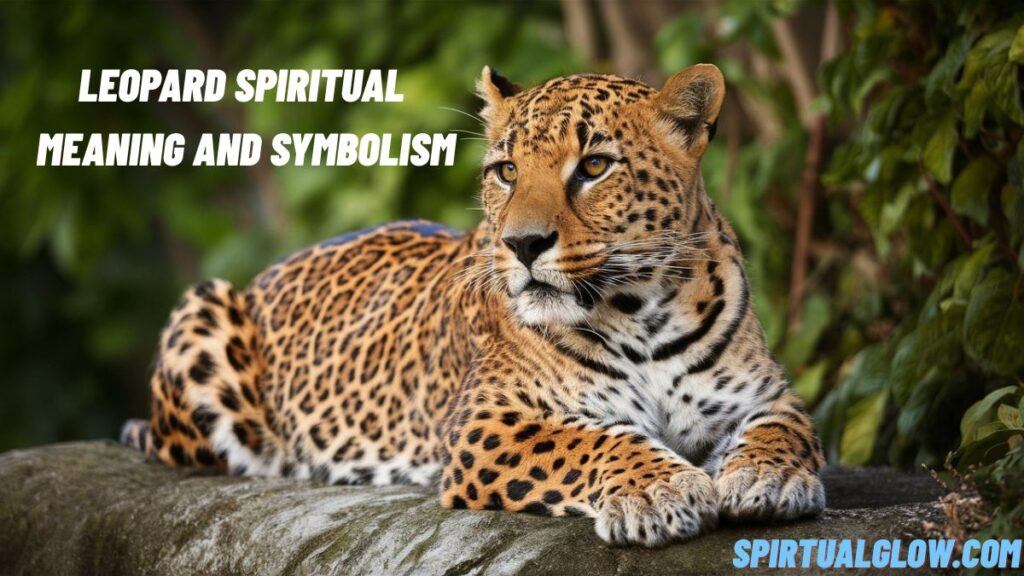 leopard spiritual meaning and symbolism