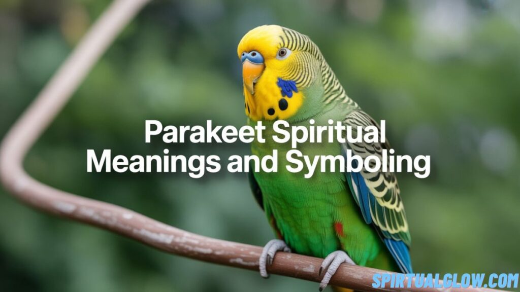 parakeet spiritual meanings and symbolism.