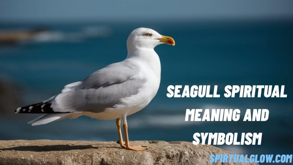 seagull spiritual meaning and symbolism