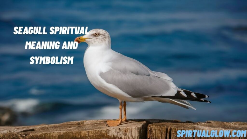 seagull spiritual meaning and symbolism