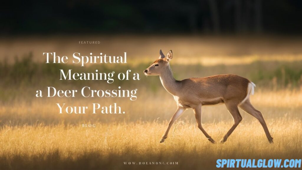spiritual-meaning of a deer crossing your path