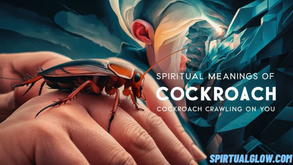 spiritual-meanings-of-a-cockroach-crawling-on-you