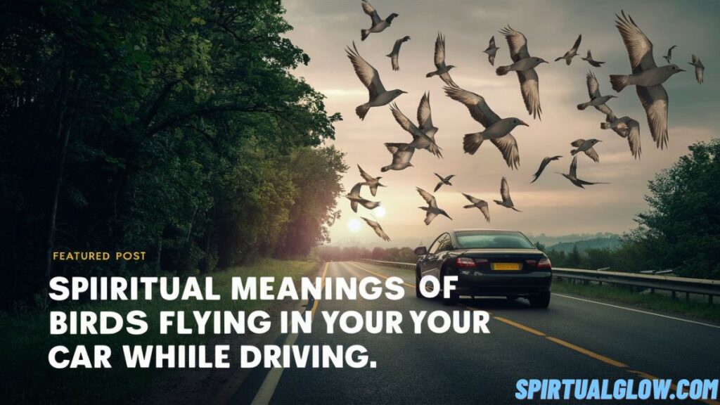 
spiritual-meanings-of-birds-flying-in-front-of-your-car-while-driving