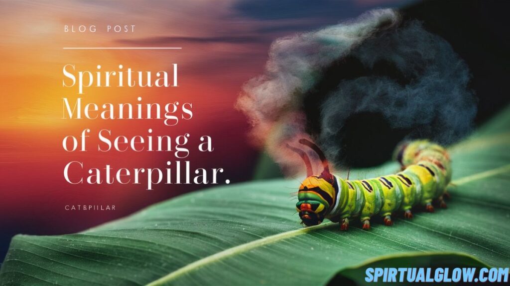spiritual meanings of seeing-a caterpillar.