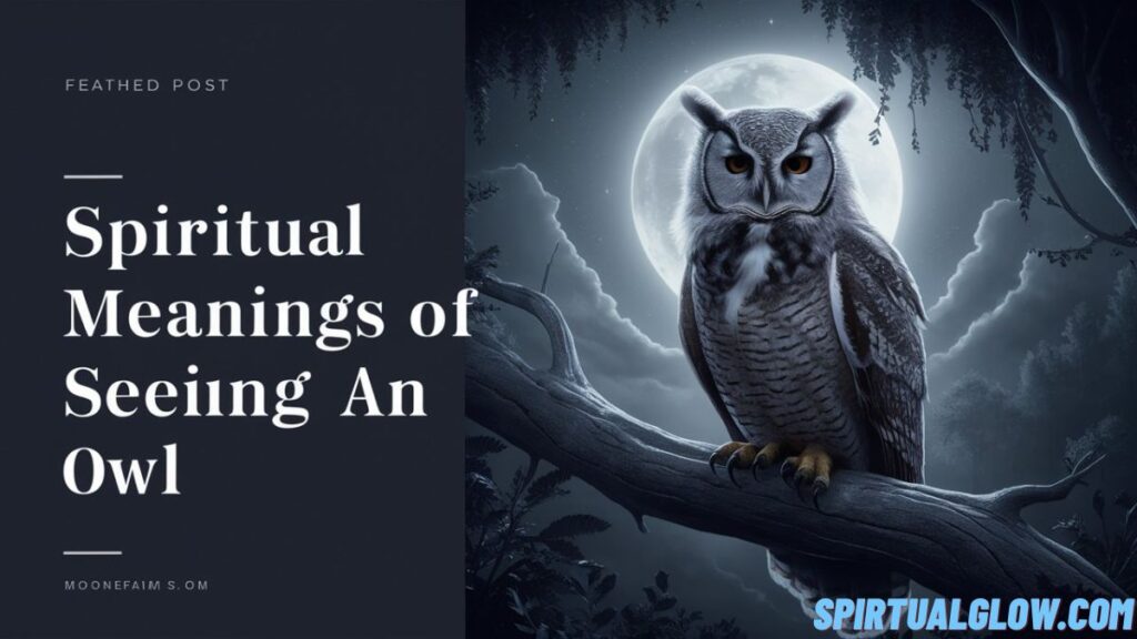 spiritual-meanings-of-seeing-an-owl