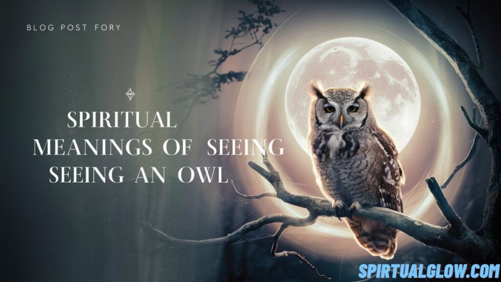 spiritual-meanings-of-seeing-an-owl