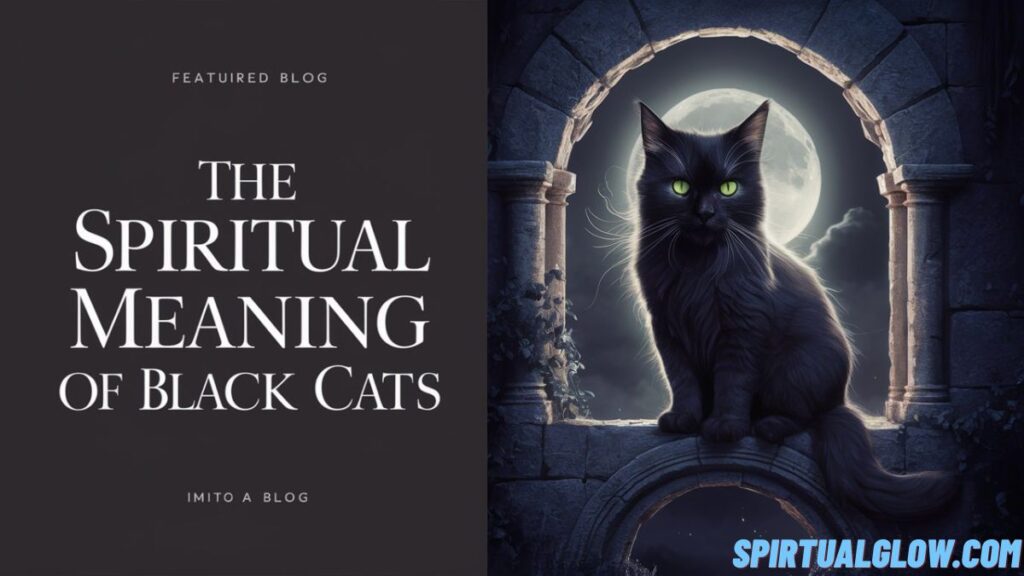 the spiritual meaning of black cats