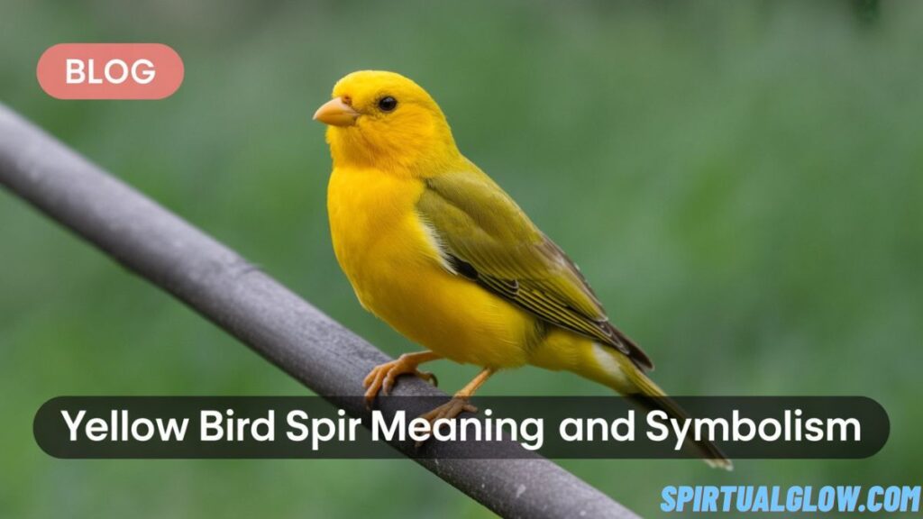 yellow bird spiritual meaning and symbolism