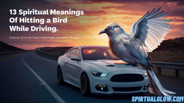 spiritual-meanings-of-hitting-a-bird-while-driving