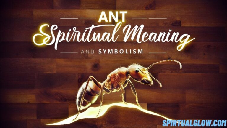 ant-spiritual-meaning-and-symbolism