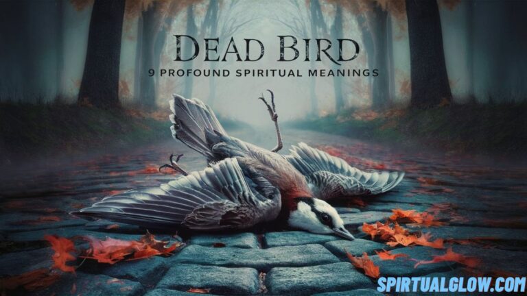 dead bird 9 profound spiritual meanings