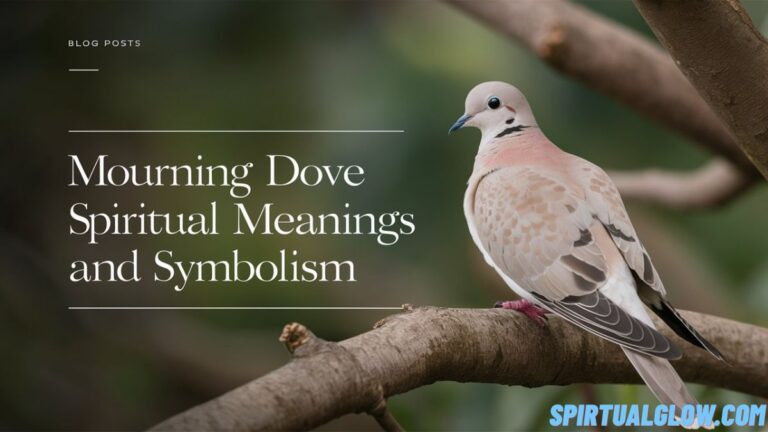 mourning dove spiritual meanings and Symbolism