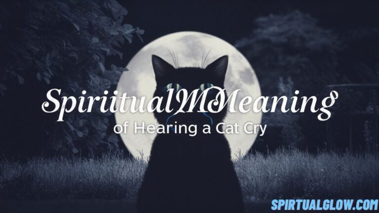 spiritual-meaning-of-hearing-a-cat-cry.