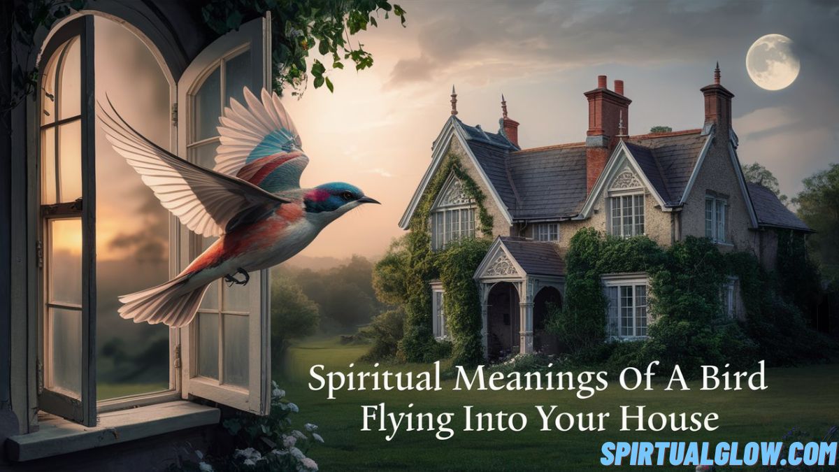 spiritual-meanings-of-a-bird-flying-into-your-house