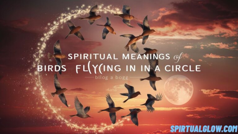 spiritual-meanings-of-birds-flying-in-a-circle