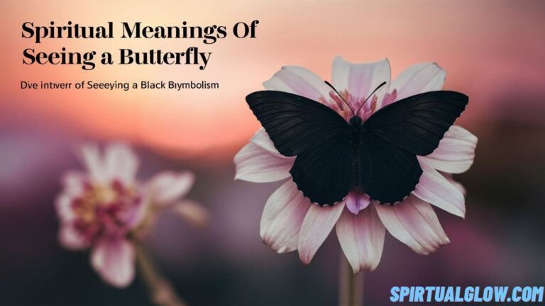 spiritual meanings of seeing a black butterfly