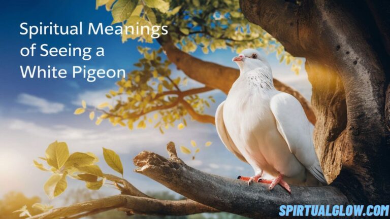 spiritual-meanings-of-seeing-a-white-pigeon