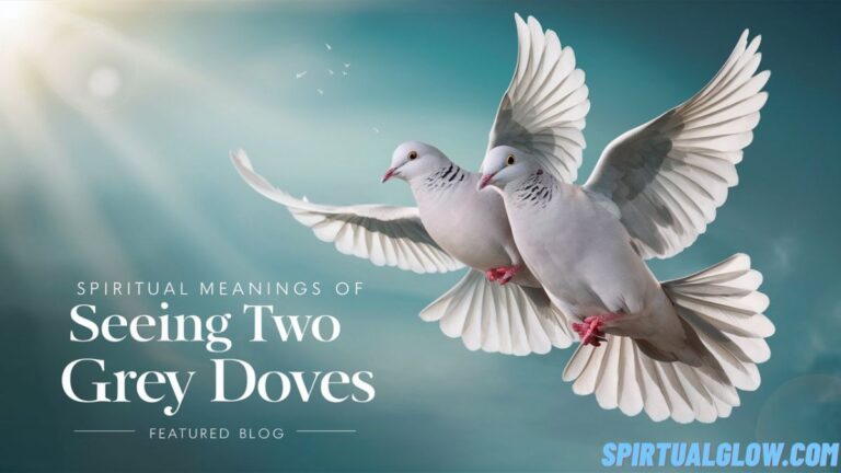 spiritual-meanings-of-seeing-two-grey-doves