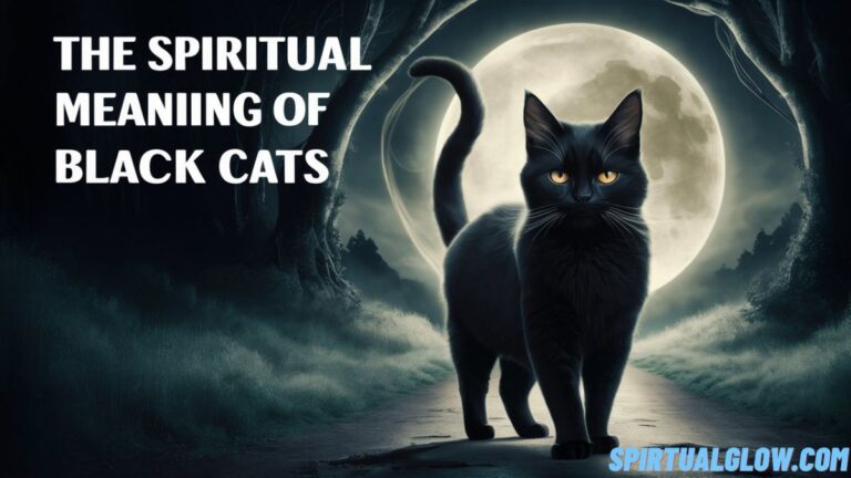the spiritual meaning of black cats
