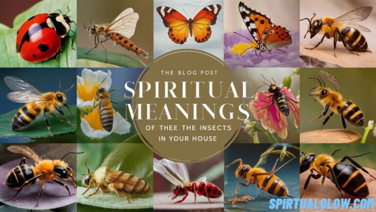 the-spiritual-meanings-of-the-insects-in-your-house