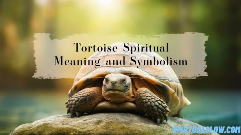 tortoise spiritual meaning and symbolism