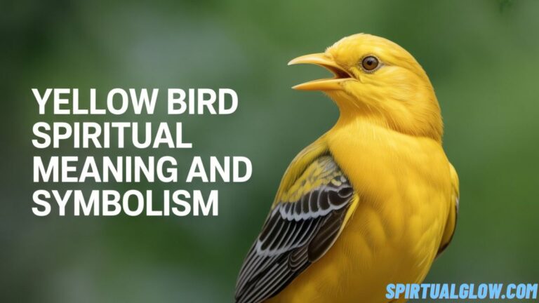 yellow bird spiritual meaning and symbolism